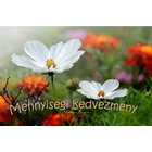 Mennyiségi kedvezmények