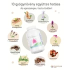 Kép 4/5 - Lungvital gyógynövényei