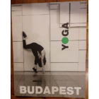 Kép 1/2 - Yoga Budapest - nyár