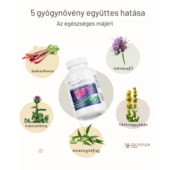 Hepatosoul (180) - májregeneráló