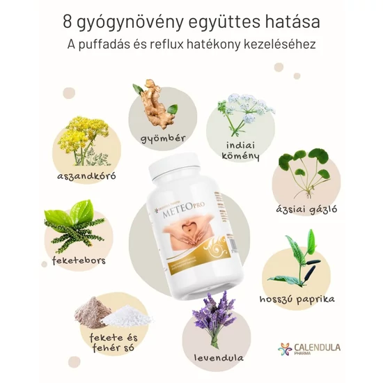 8 gyógynövény együttes hatása
