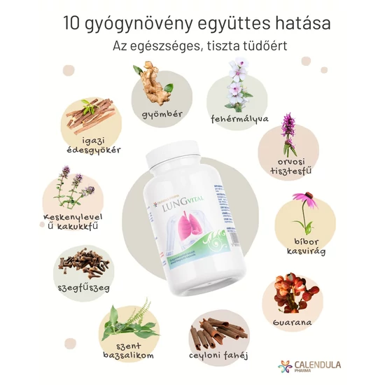 Lungvital gyógynövényei