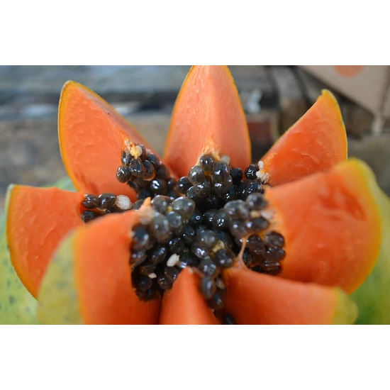 papaya